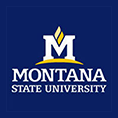 Montana State University - Bozeman Logo